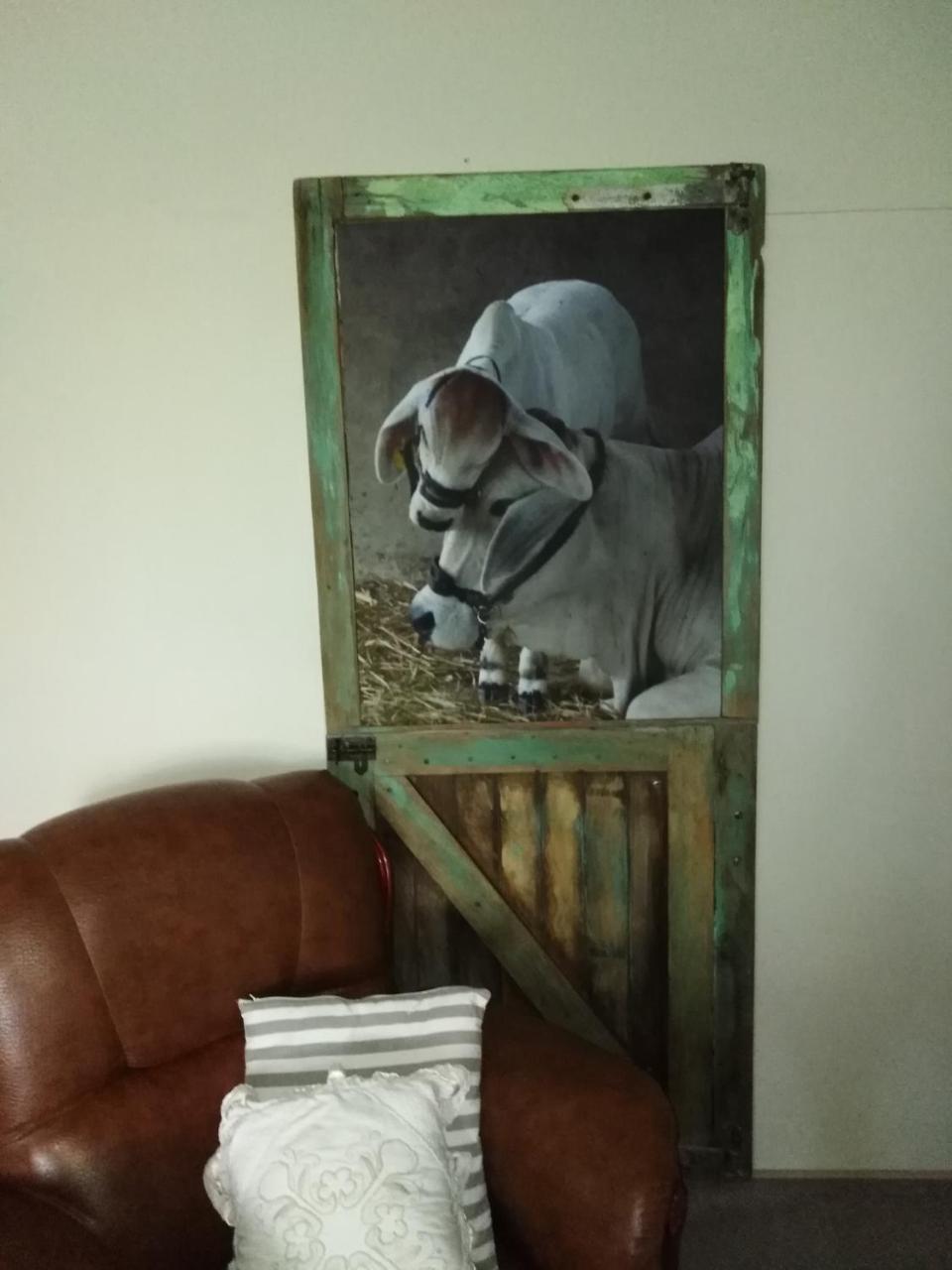 Die Windpomp Guesthouse Gobabis المظهر الخارجي الصورة